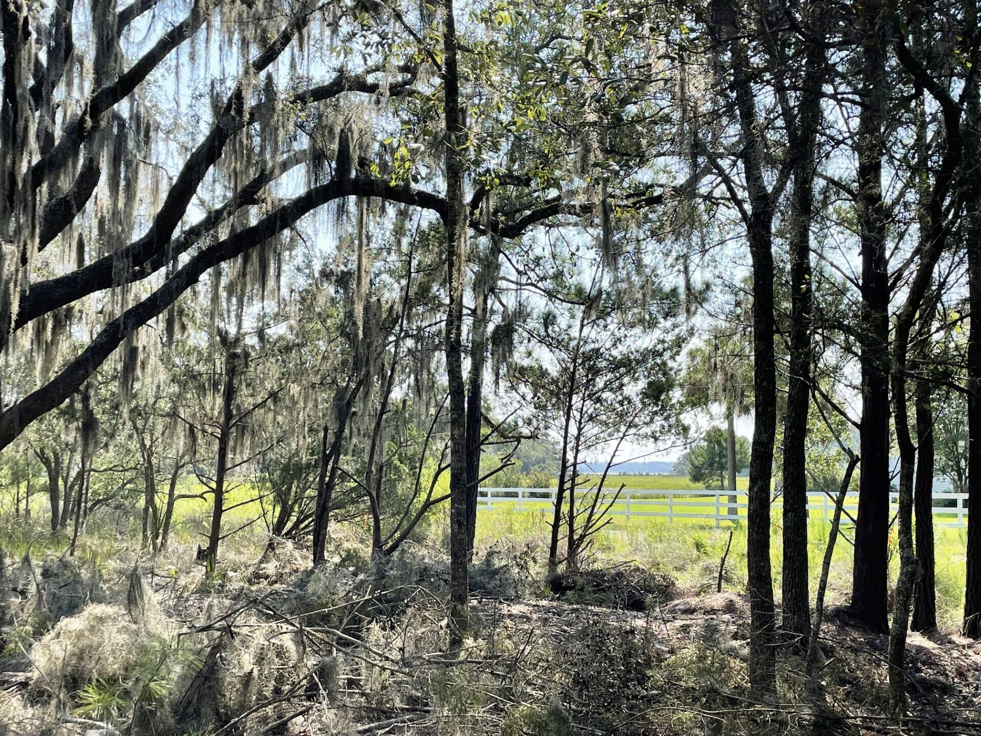 3 Long Island Road Meggett, SC 29449 - Photo 20 of 41 Buy now, build later!