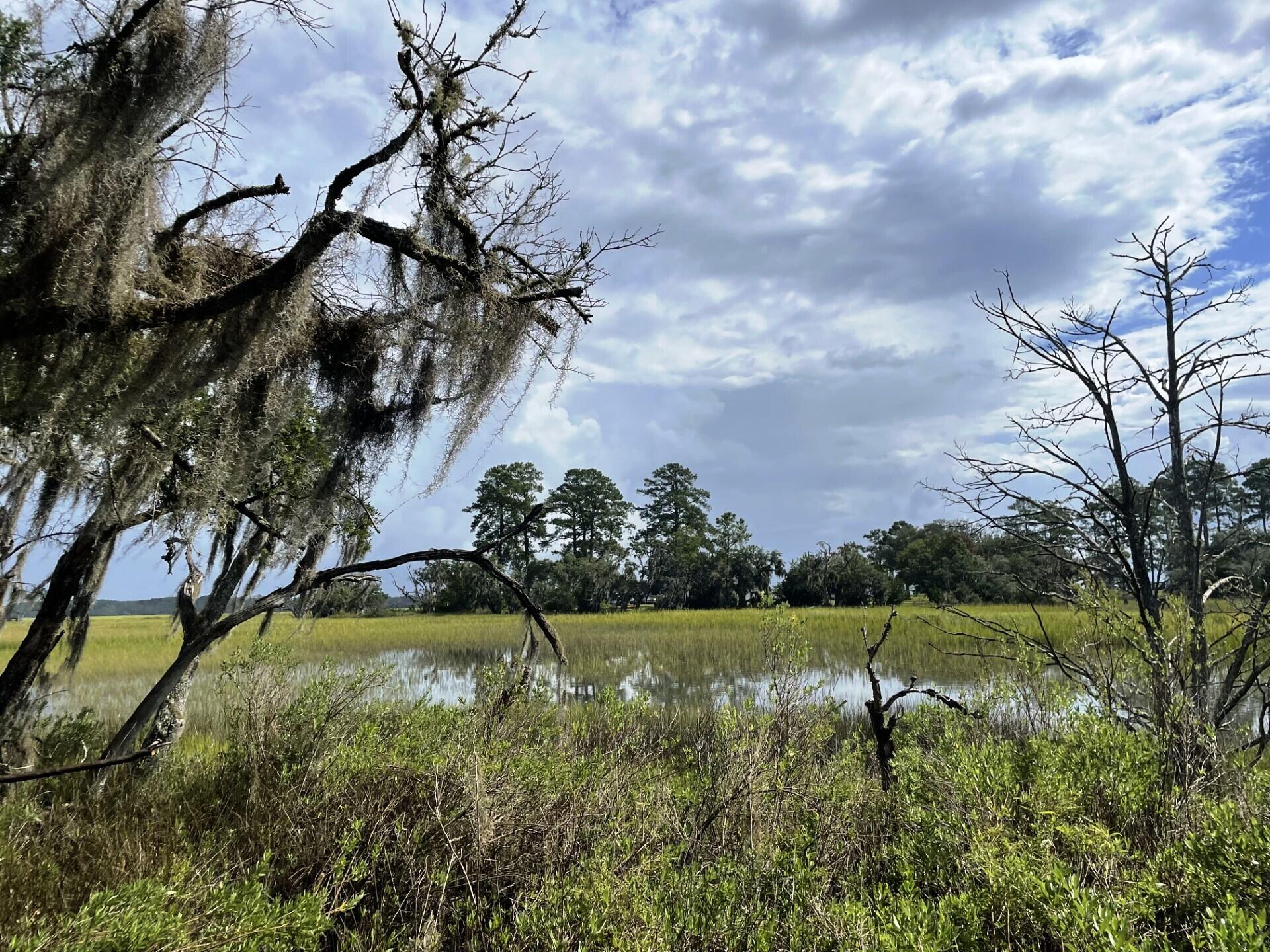 3 Long Island Road Meggett, SC 29449 - Photo 2 of 41 Must see!