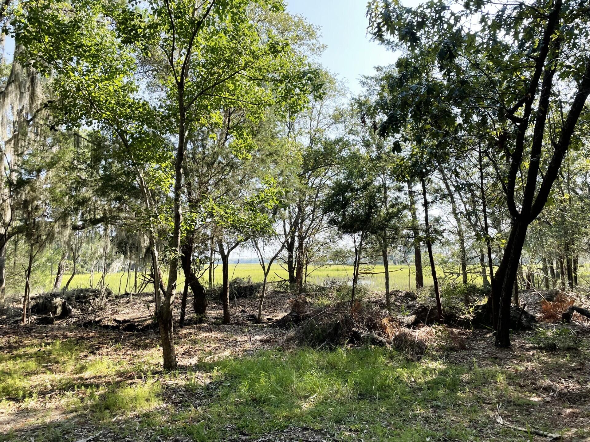3 Long Island Road Meggett, SC 29449 - Photo 21 of 41 No mobile homes!