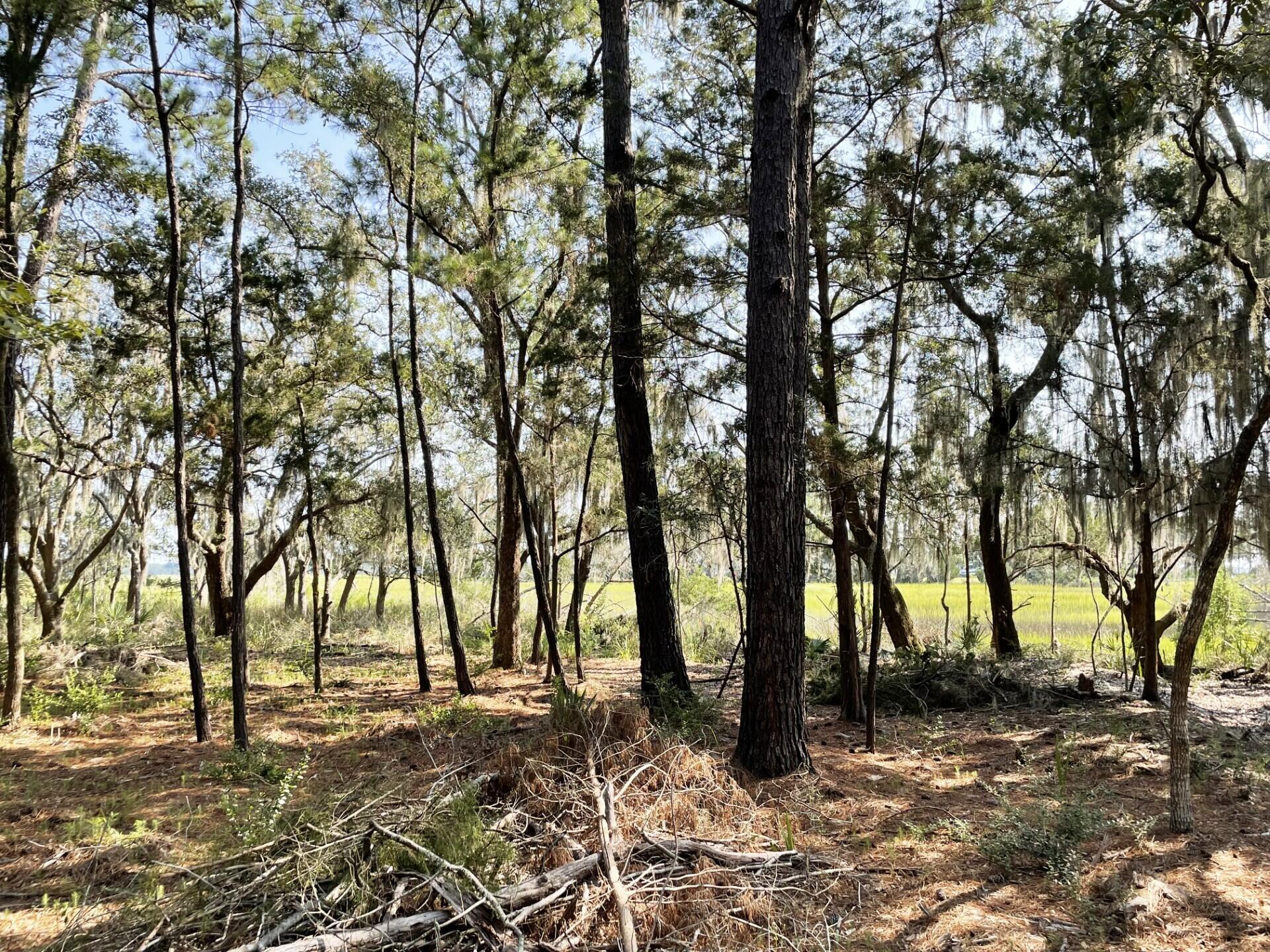 3 Long Island Road Meggett, SC 29449 - Photo 25 of 41 3.6 acres total!