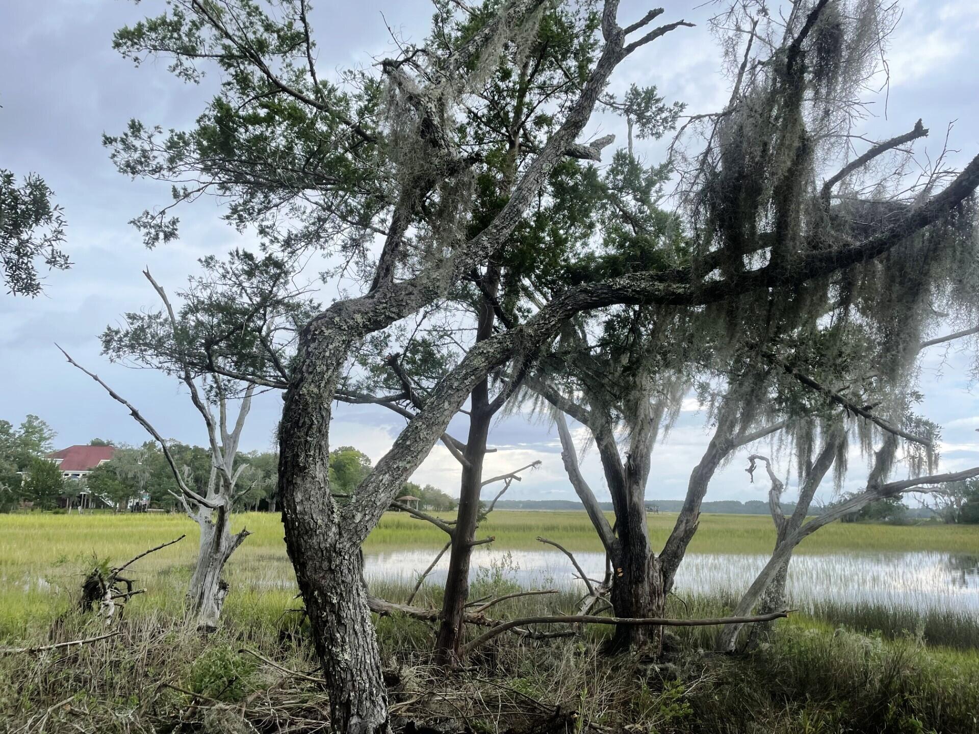3 Long Island Road Meggett, SC 29449 - Photo 3 of 41 Very Private!