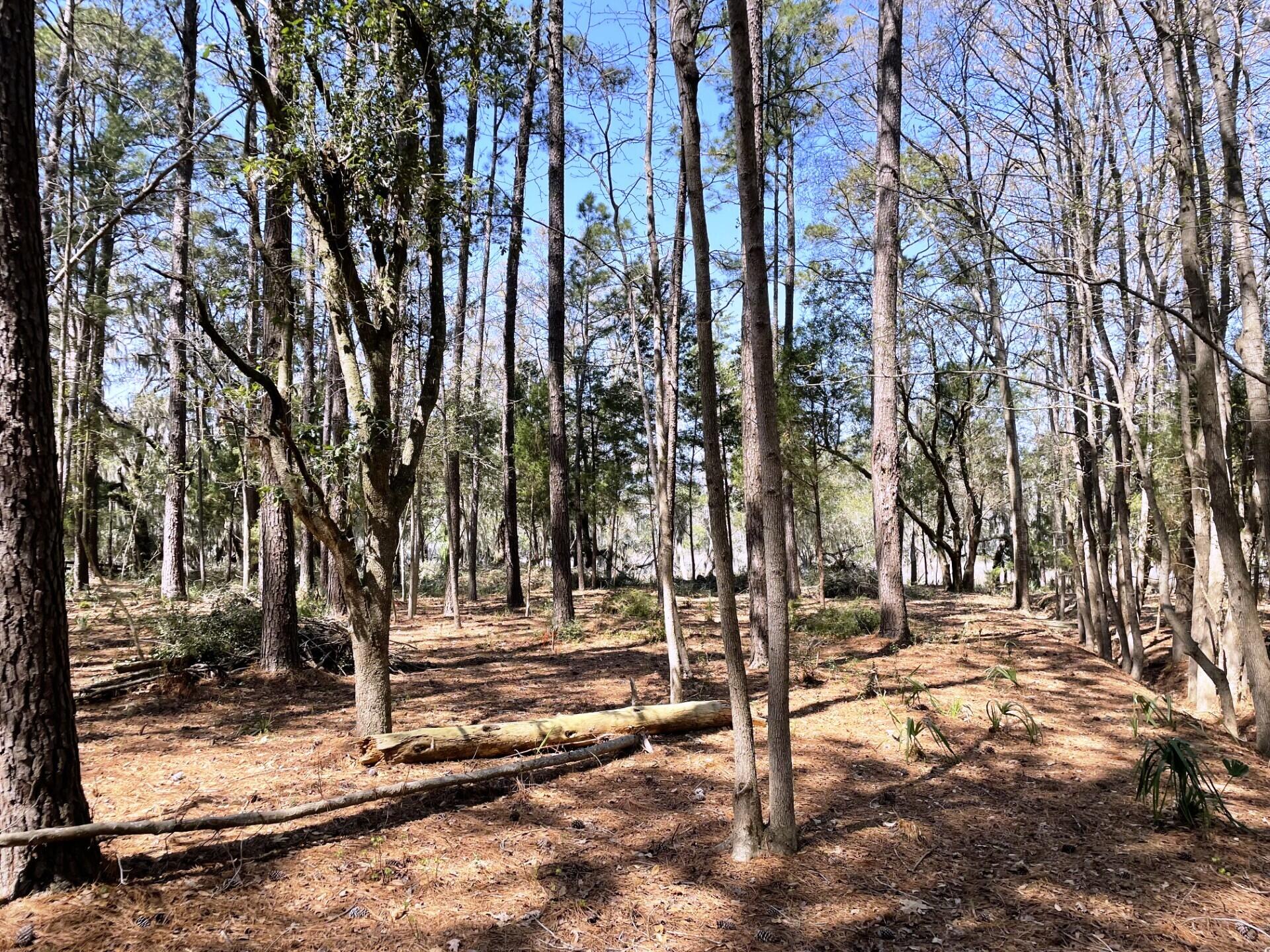 3 Long Island Road Meggett, SC 29449 - Photo 31 of 41 Very private