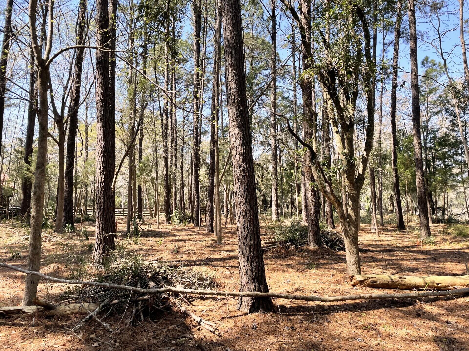3 Long Island Road Meggett, SC 29449 - Photo 32 of 41 Unlimited potential