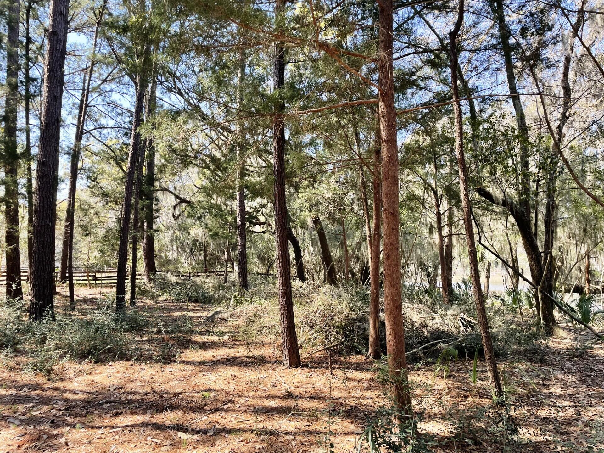 3 Long Island Road Meggett, SC 29449 - Photo 33 of 41 So quiet