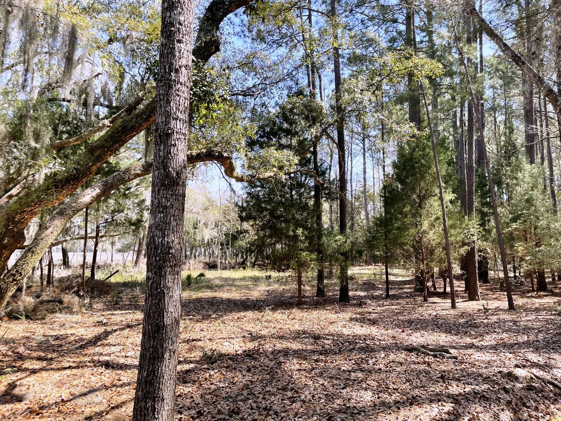 3 Long Island Road Meggett, SC 29449 - Photo 38 of 41 Must See