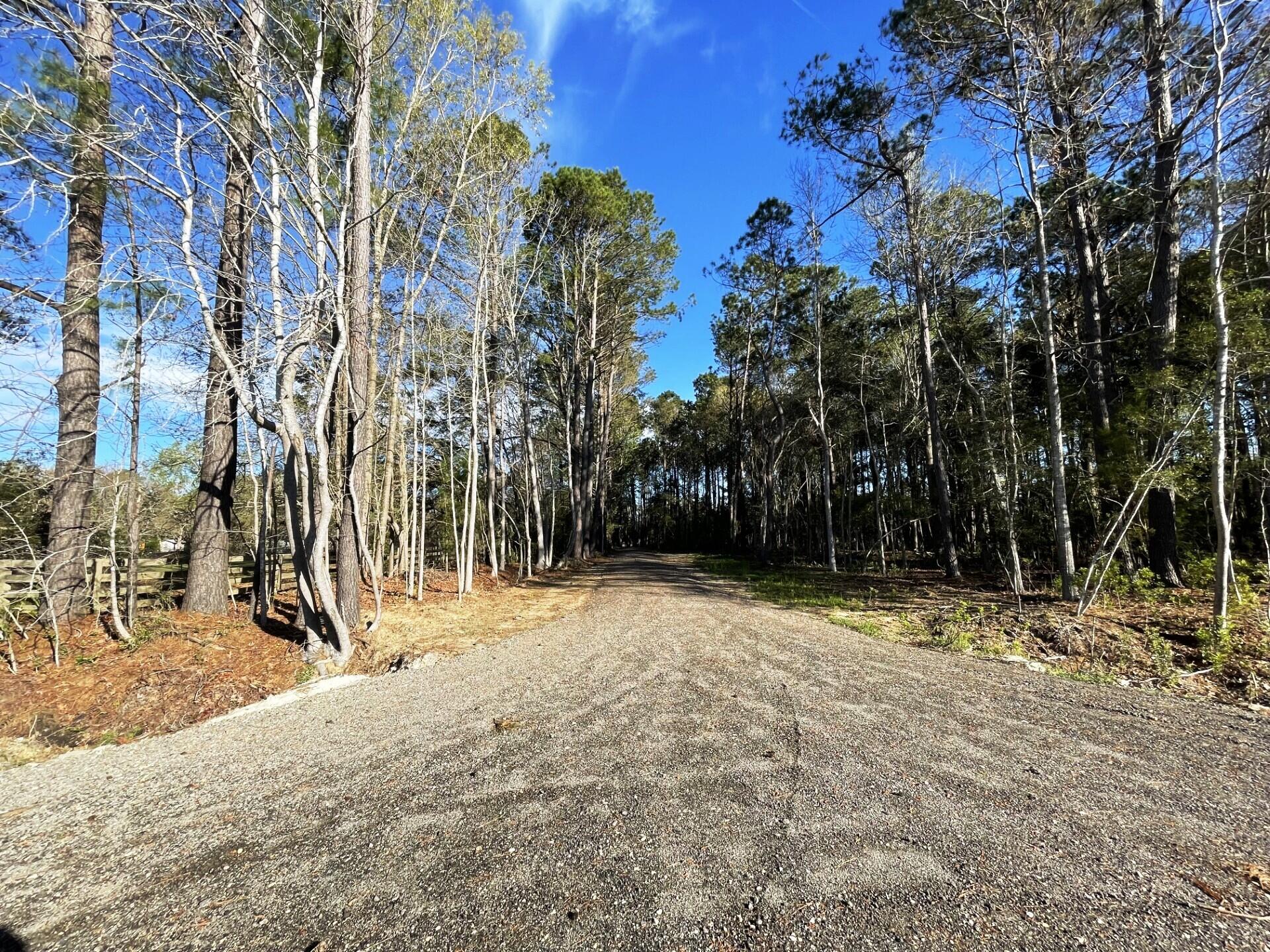 3 Long Island Road Meggett, SC 29449 - Photo 39 of 41 long island shared driveway pic good
