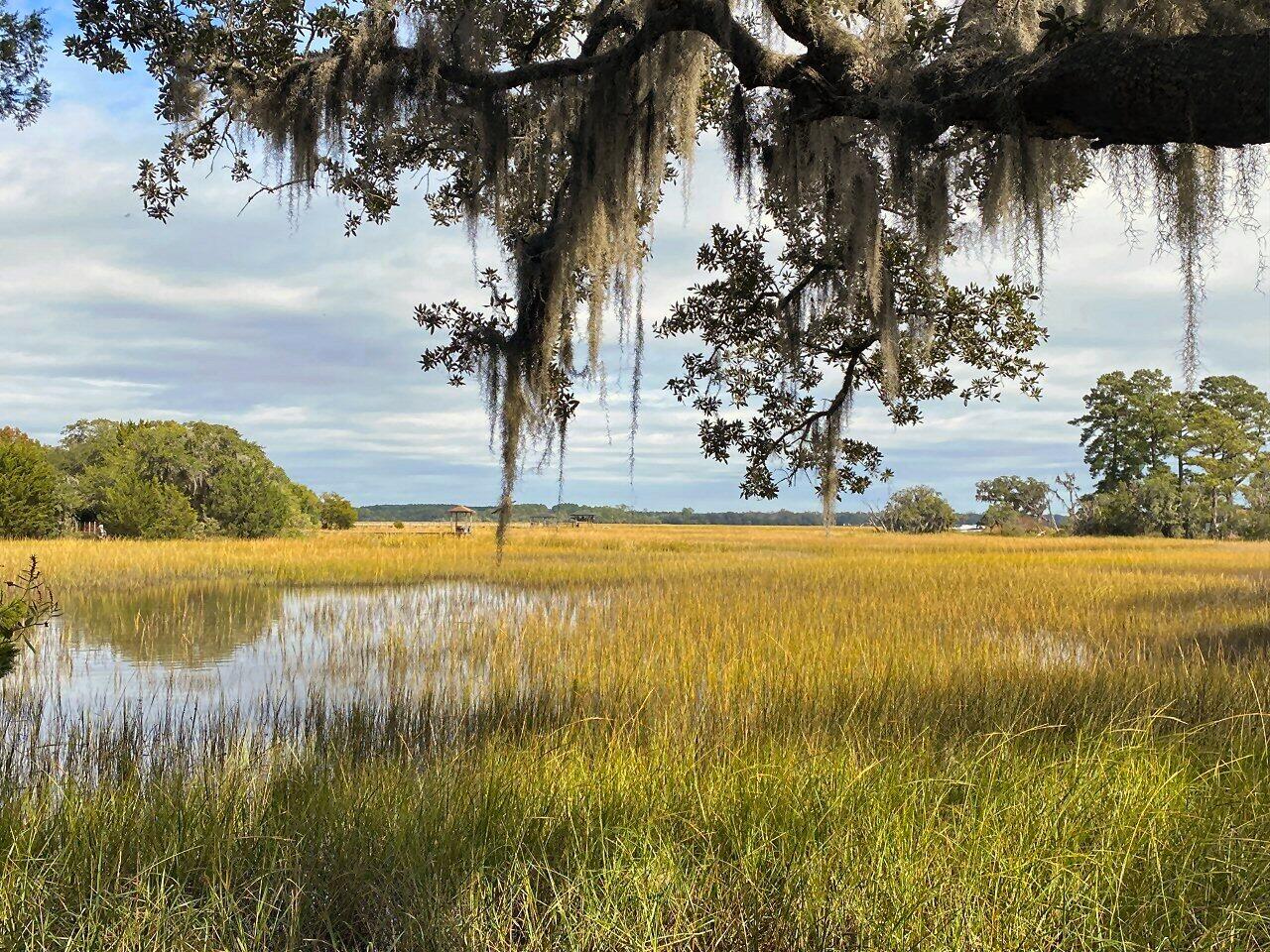 3 Long Island Road Meggett, SC 29449 - Photo 4 of 41 1.46 acre private point!