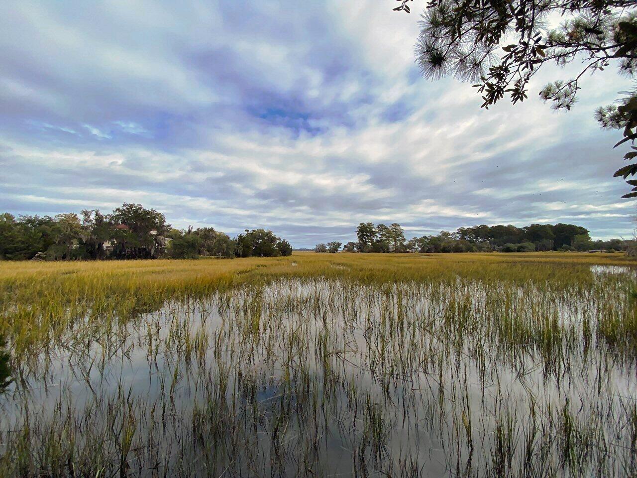 3 Long Island Road Meggett, SC 29449 - Photo 5 of 41 Great views!