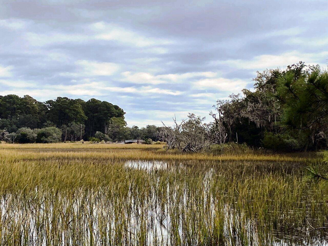 3 Long Island Road Meggett, SC 29449 - Photo 8 of 41 Great location!