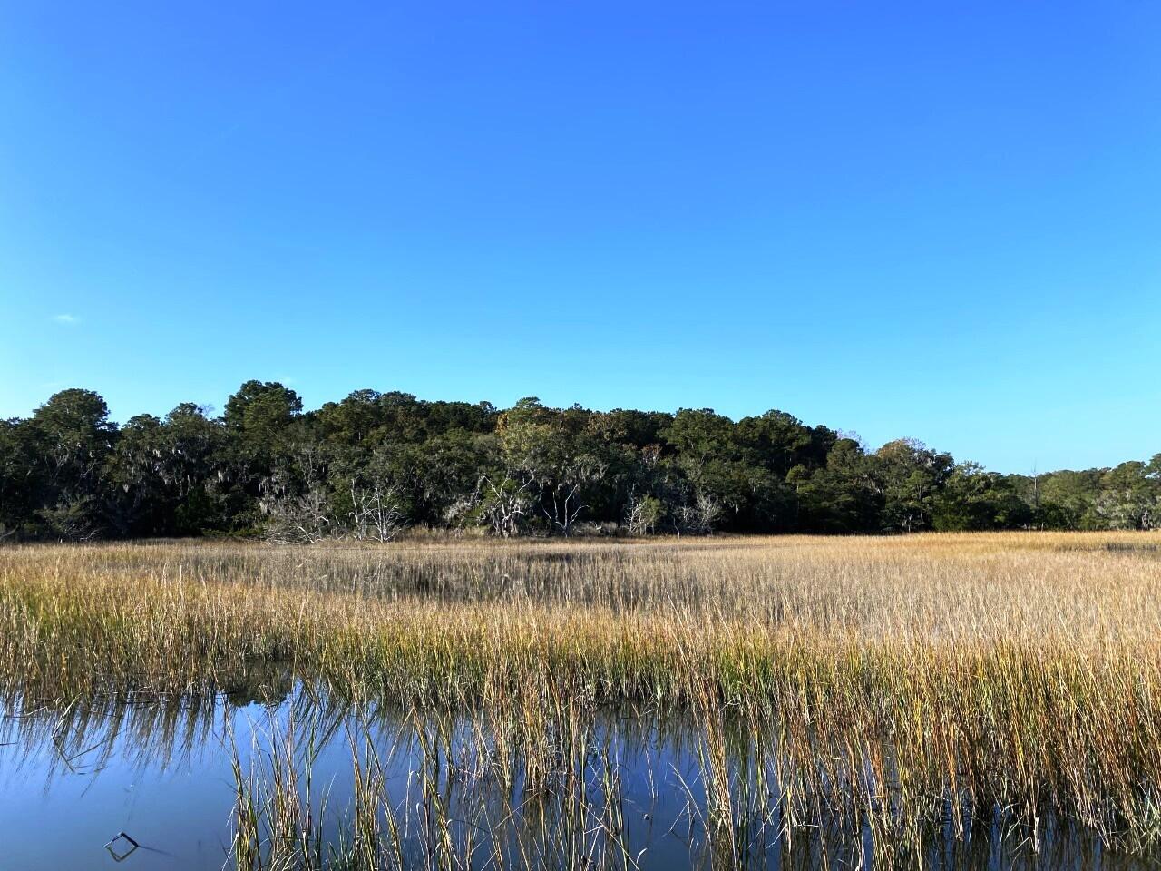 3 Long Island Road Meggett, SC 29449 - Photo 10 of 41 View from creek!