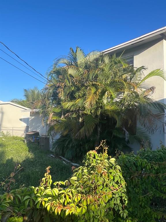 758 Southwest 3rd Place Dania Beach, FL 33004 - Photo 22 of 26 a view of a garden