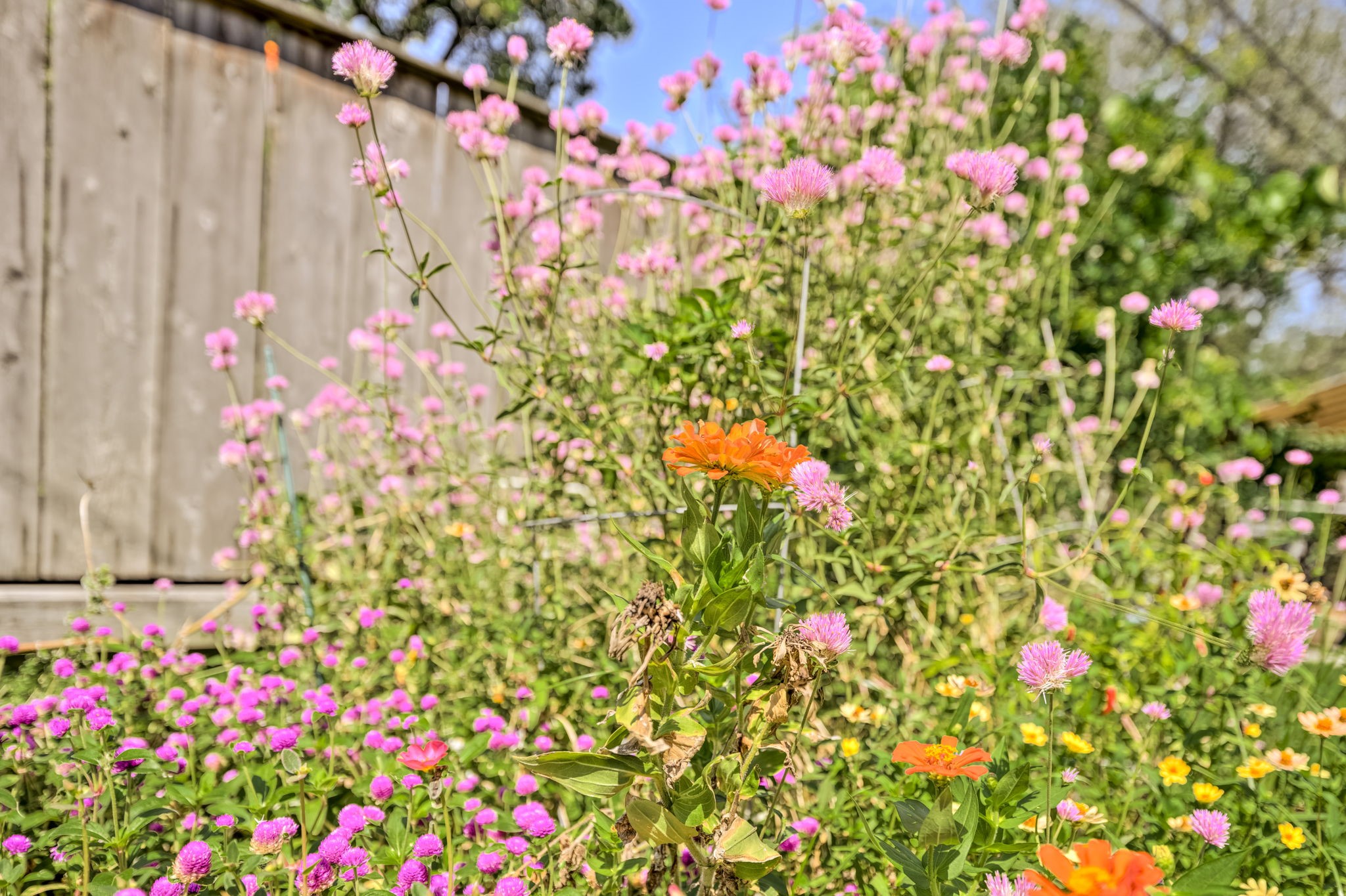 8927 Rockhurst Drive Houston, TX 77080 - Photo 25 of 44
