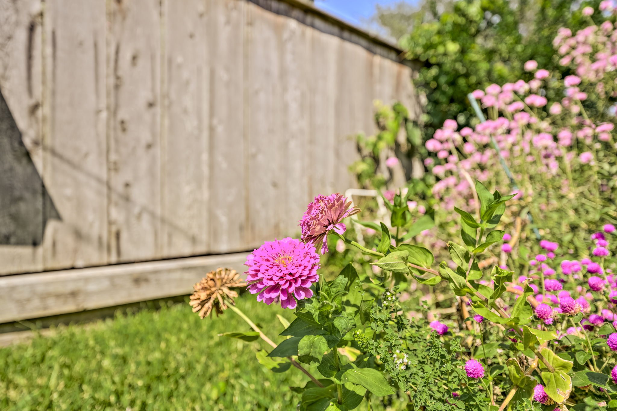 8927 Rockhurst Drive Houston, TX 77080 - Photo 26 of 44