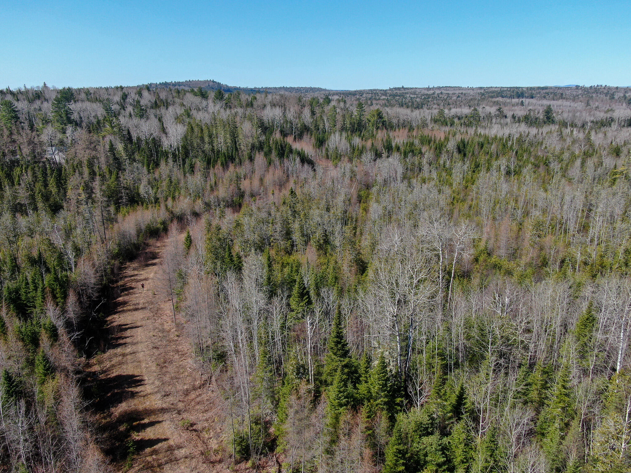 144 Black Water Road Ashland, ME 04732 - Photo 5 of 35 DJI_0219
