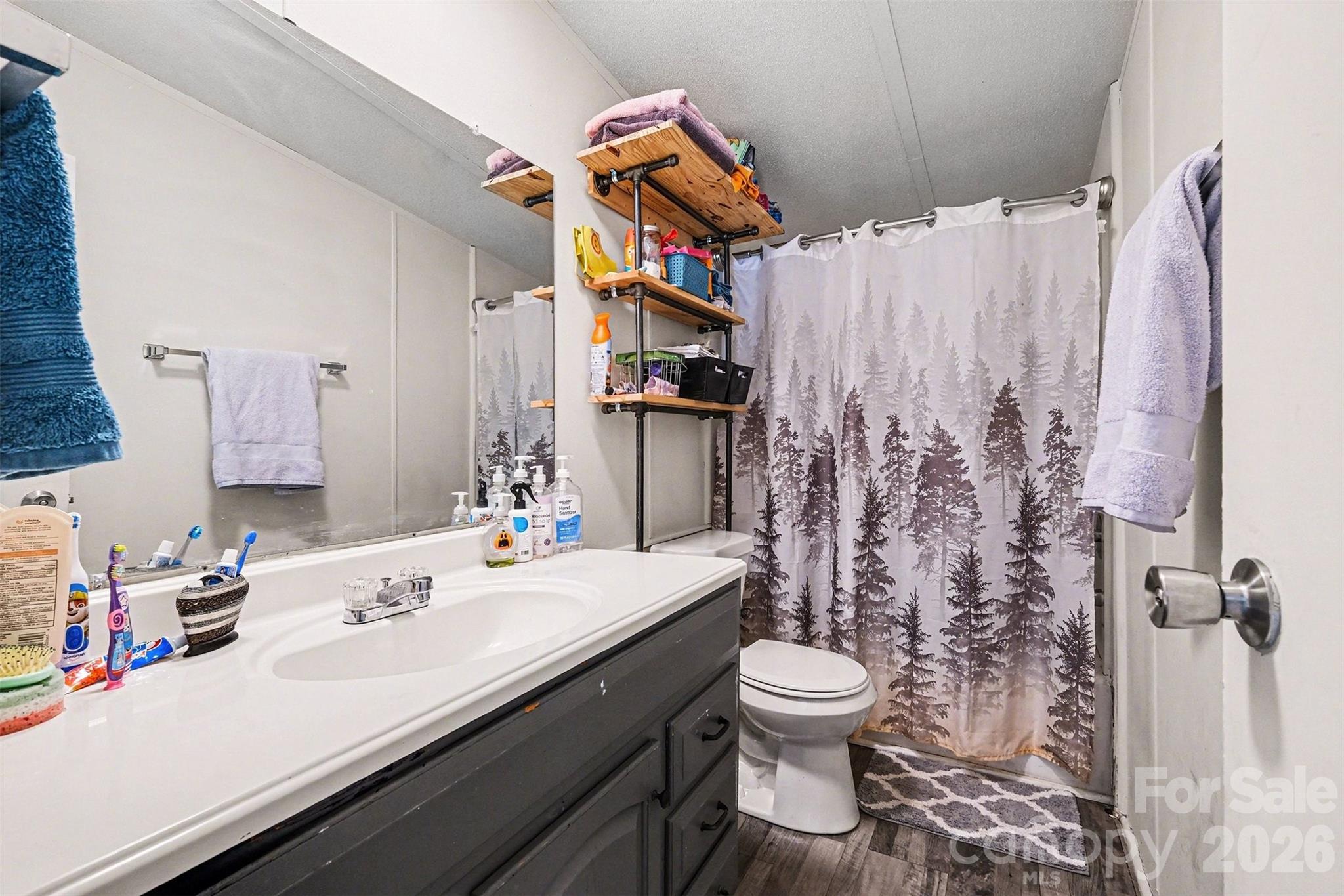 4106 Olga Court Dallas, NC 28034 - Photo 24 of 30 a bathroom with a sink toilet and shower