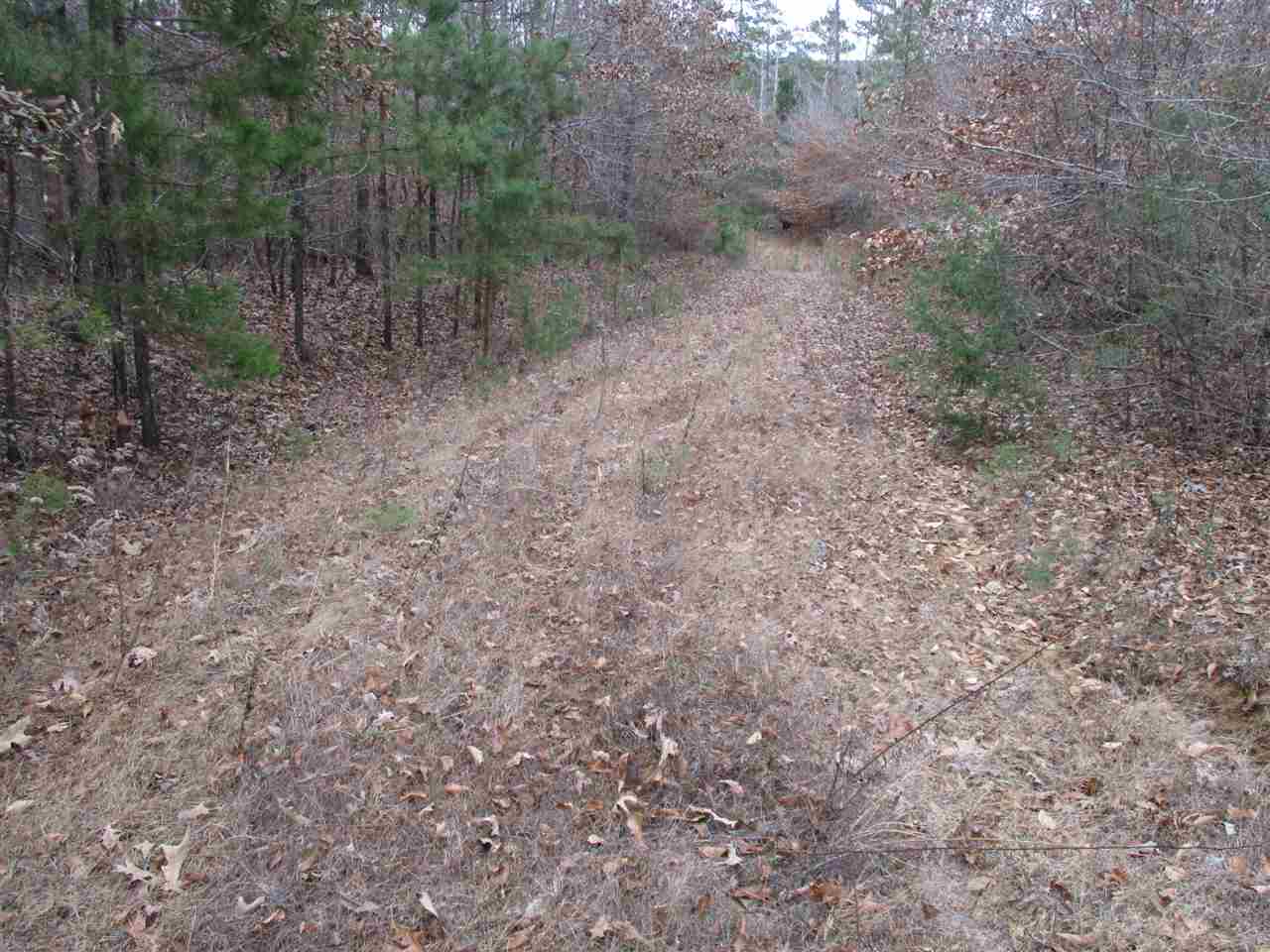 4905 Laurel Hill Road Henderson, TN 38340 - Photo 2 of 11