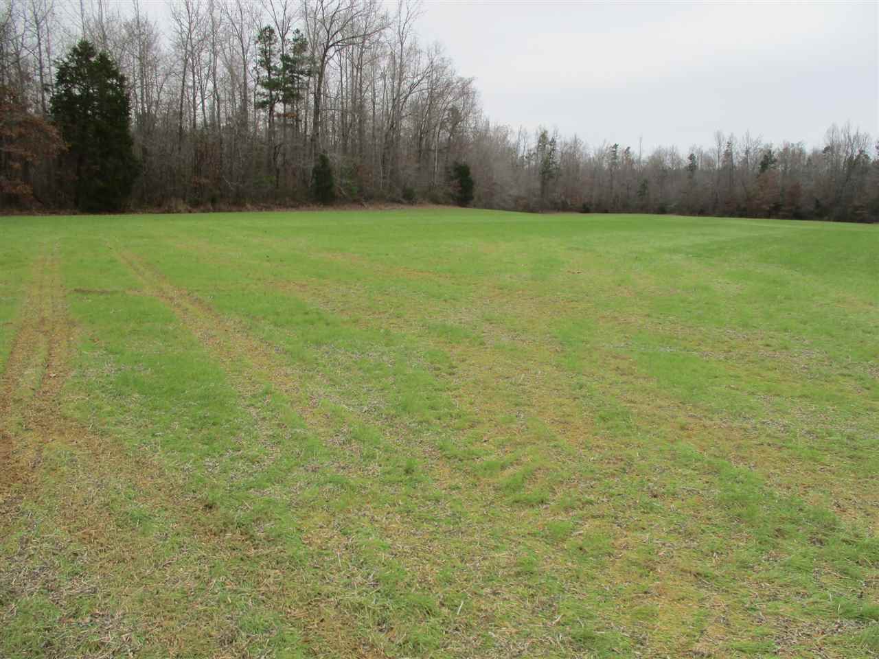 4905 Laurel Hill Road Henderson, TN 38340 - Photo 11 of 11