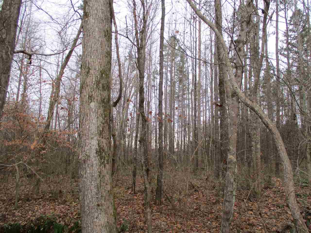 4905 Laurel Hill Road Henderson, TN 38340 - Photo 6 of 11