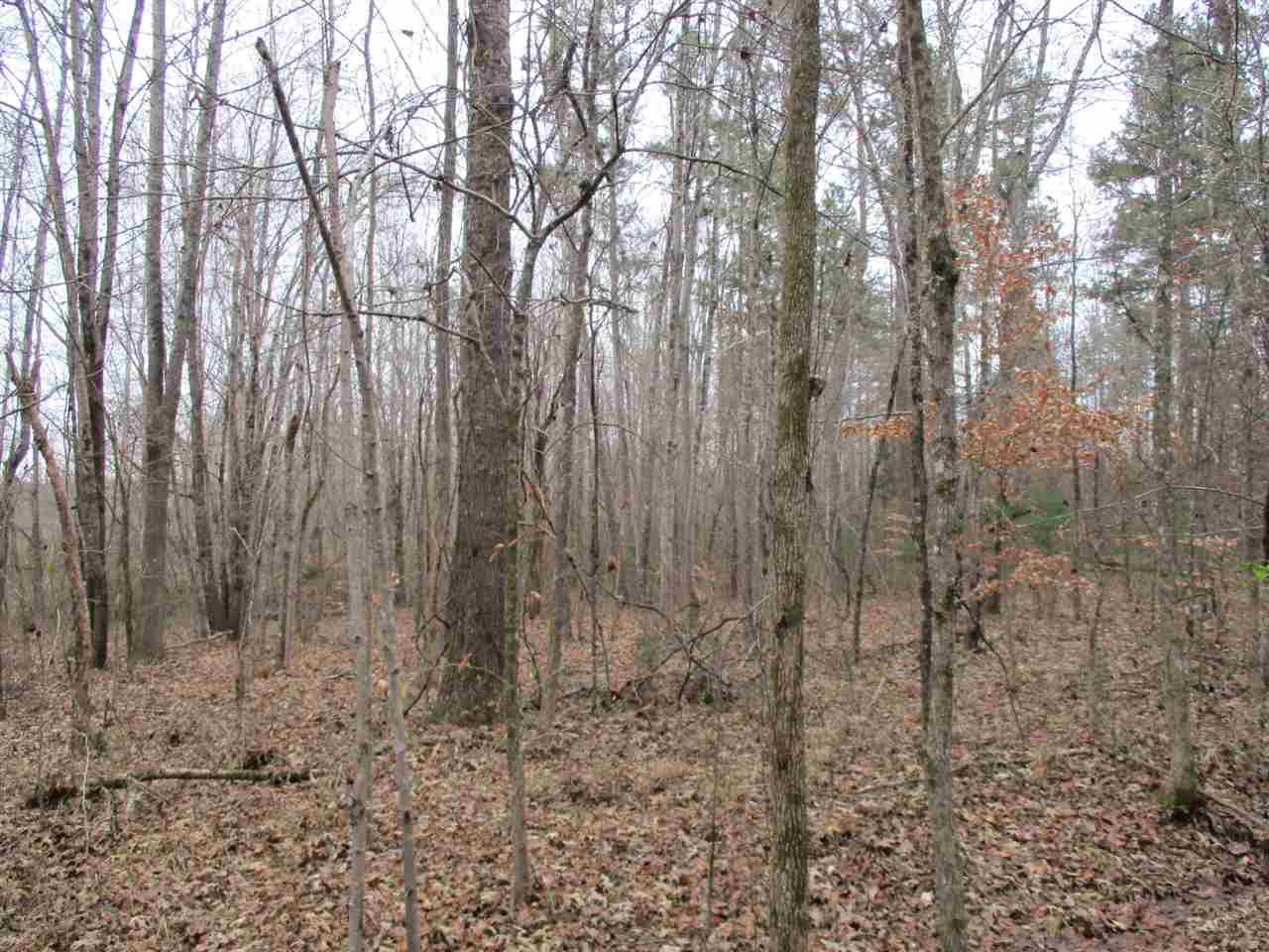 4905 Laurel Hill Road Henderson, TN 38340 - Photo 8 of 11