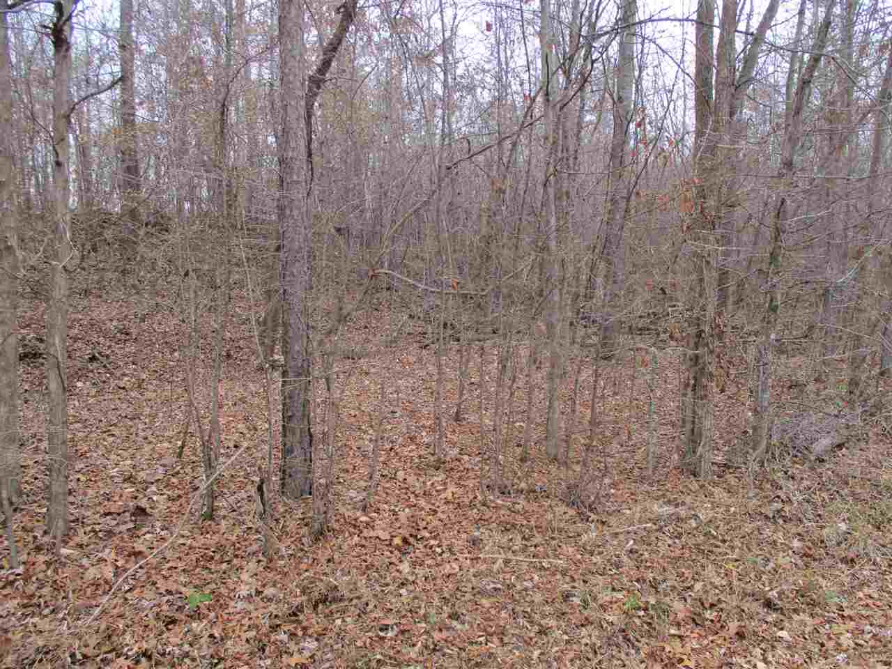 4905 Laurel Hill Road Henderson, TN 38340 - Photo 10 of 11