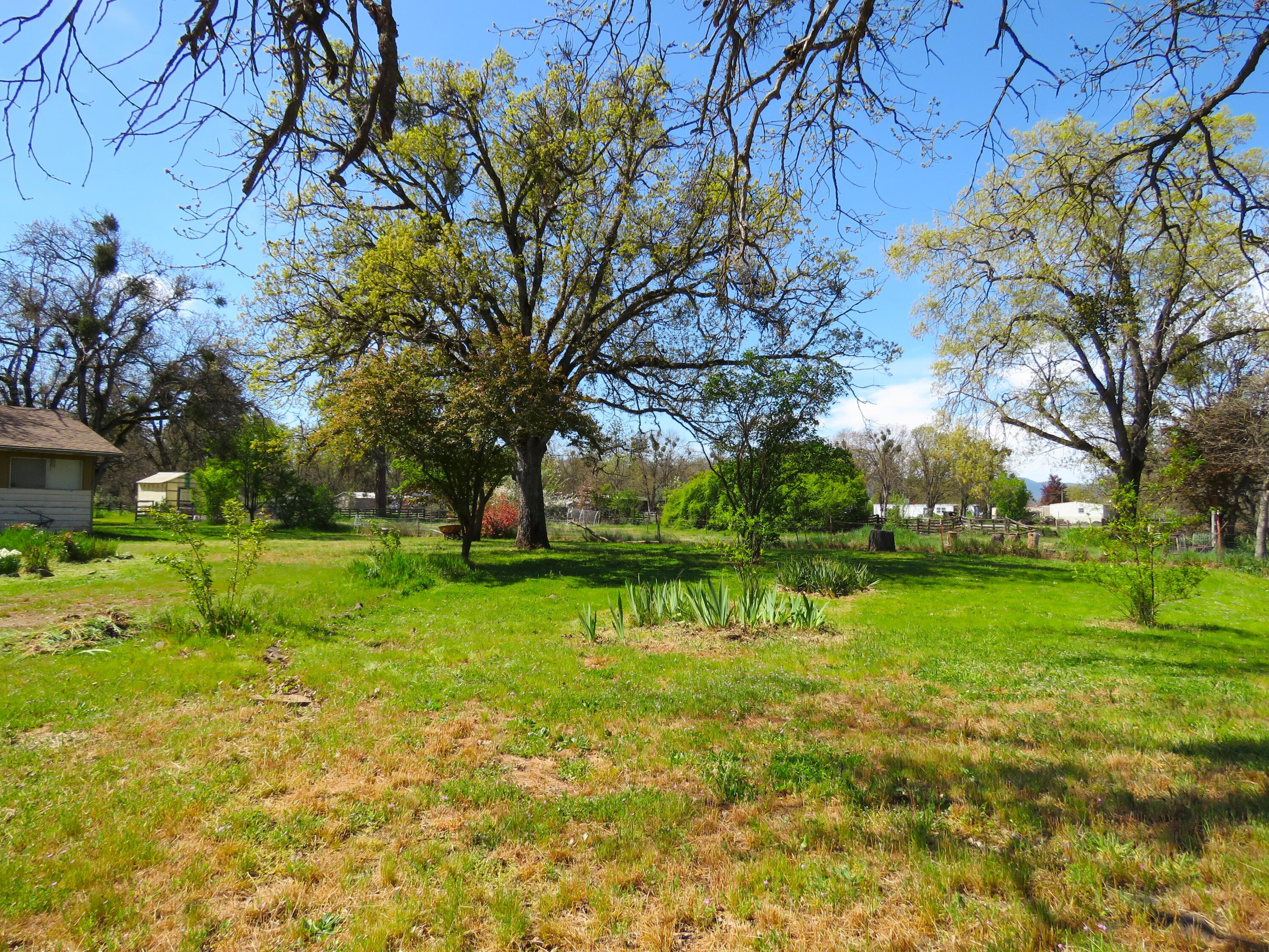 5758 Gebhard Road Central Point, OR 97502 - Photo 2 of 20 5758 Gebhard iris front yard