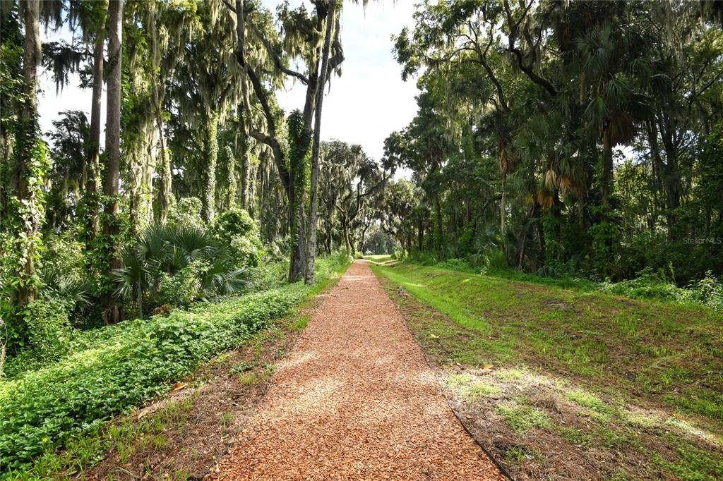3723 Malad Way Tavares, FL 32778 - Photo 24 of 24 a view of path along with green space