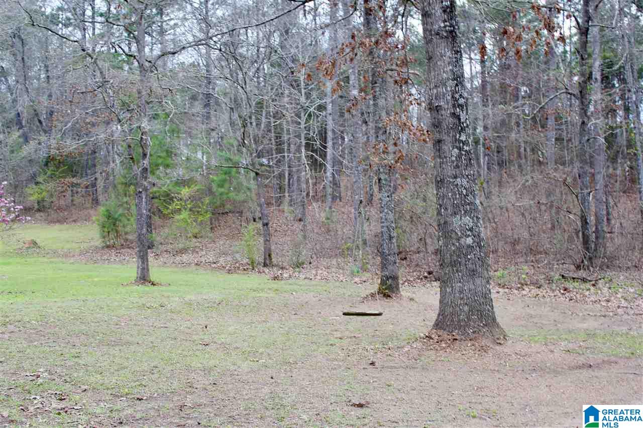 348 Pleasant Valley Farms Road Brierfield, AL 35035 - Photo 19 of 19 Gallery Image 19