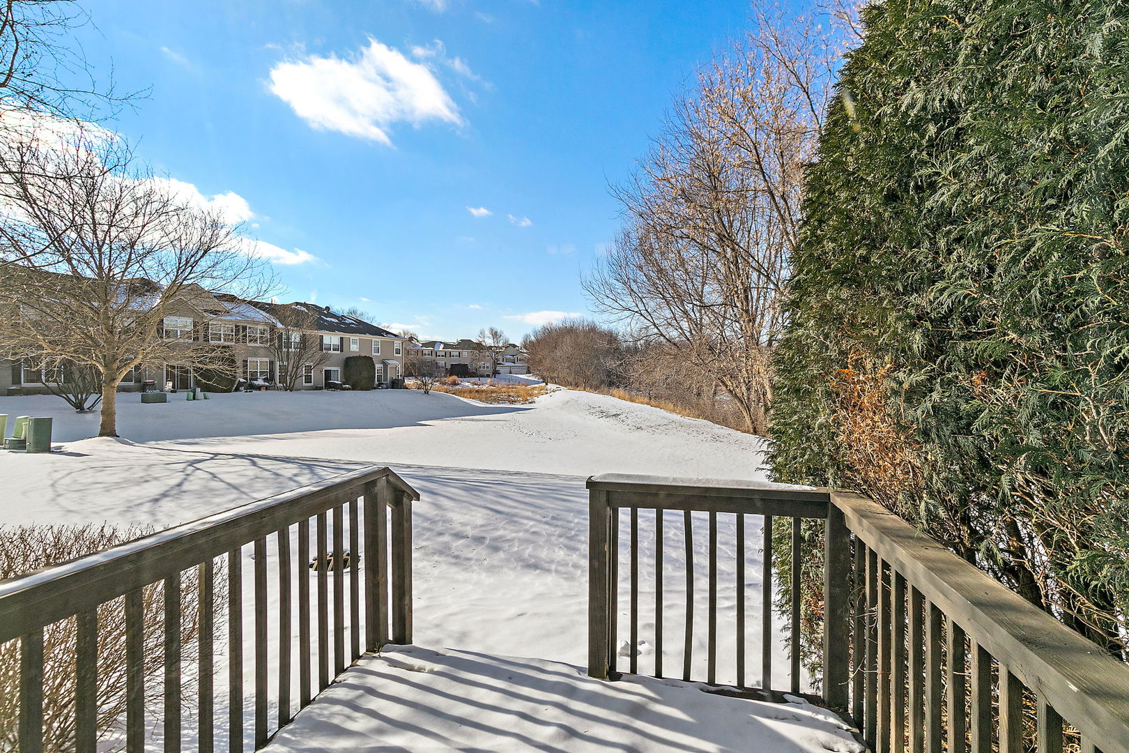 562 Gunnison Court Gilberts, IL 60136 - Photo 17 of 20