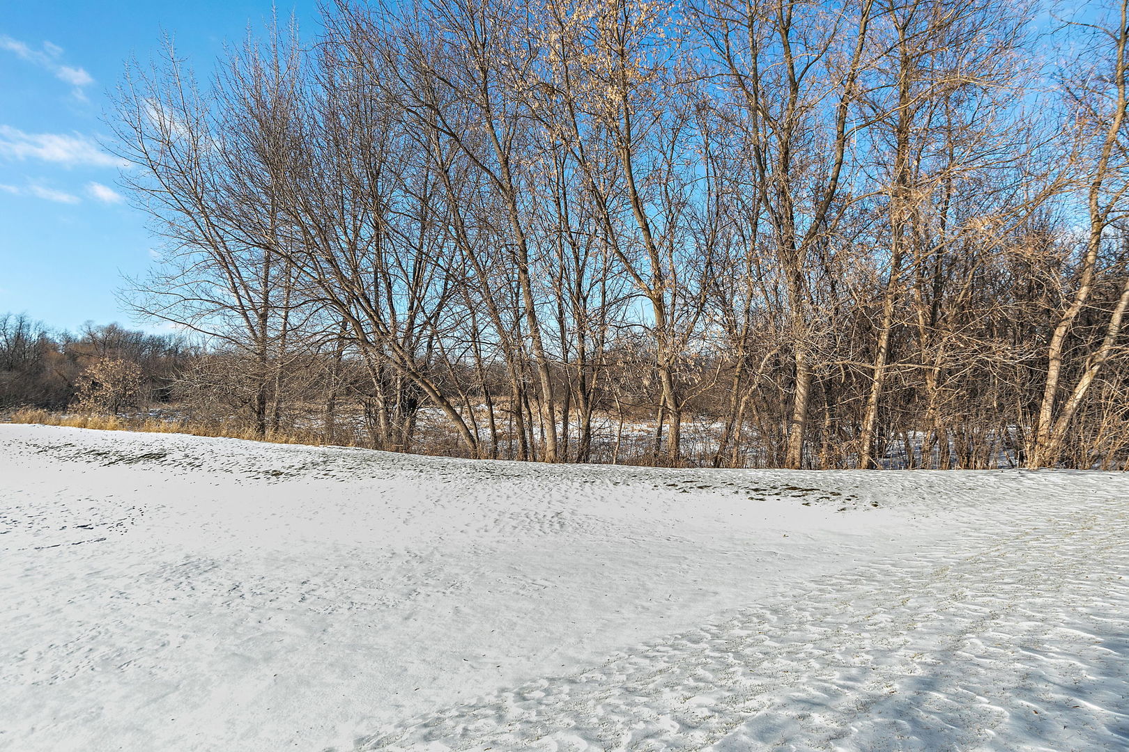 562 Gunnison Court Gilberts, IL 60136 - Photo 19 of 20
