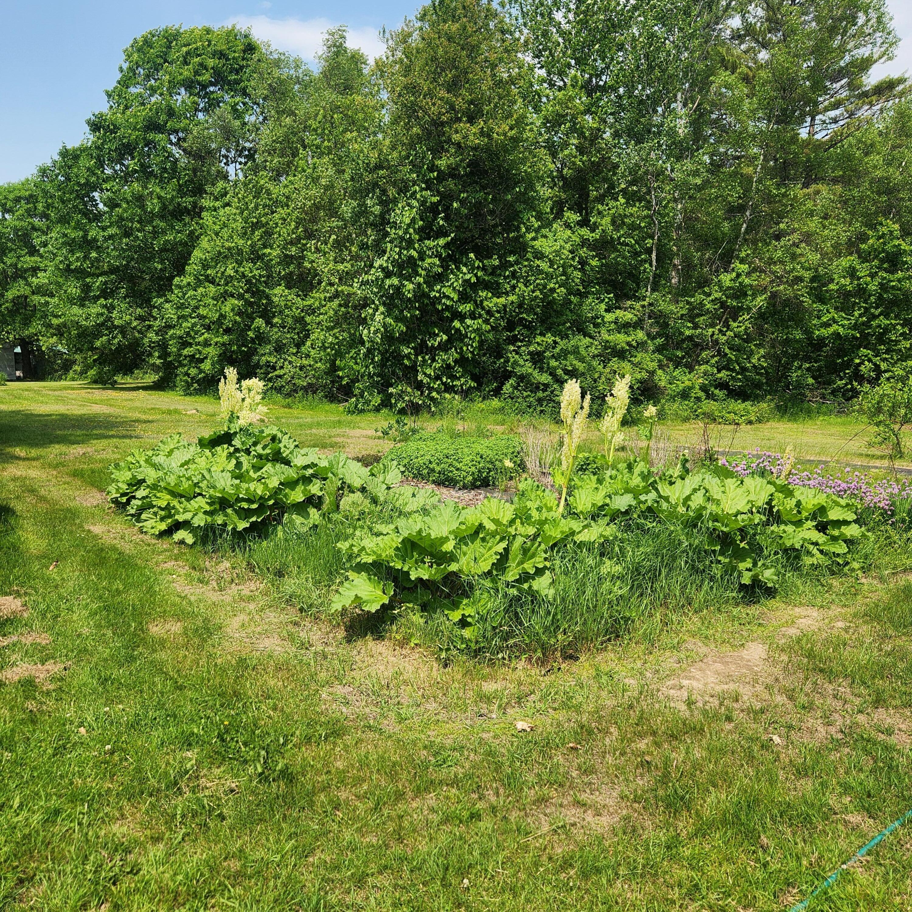 485 Main Road Passadumkeag, ME 04475 - Photo 25 of 41 20250612_135504