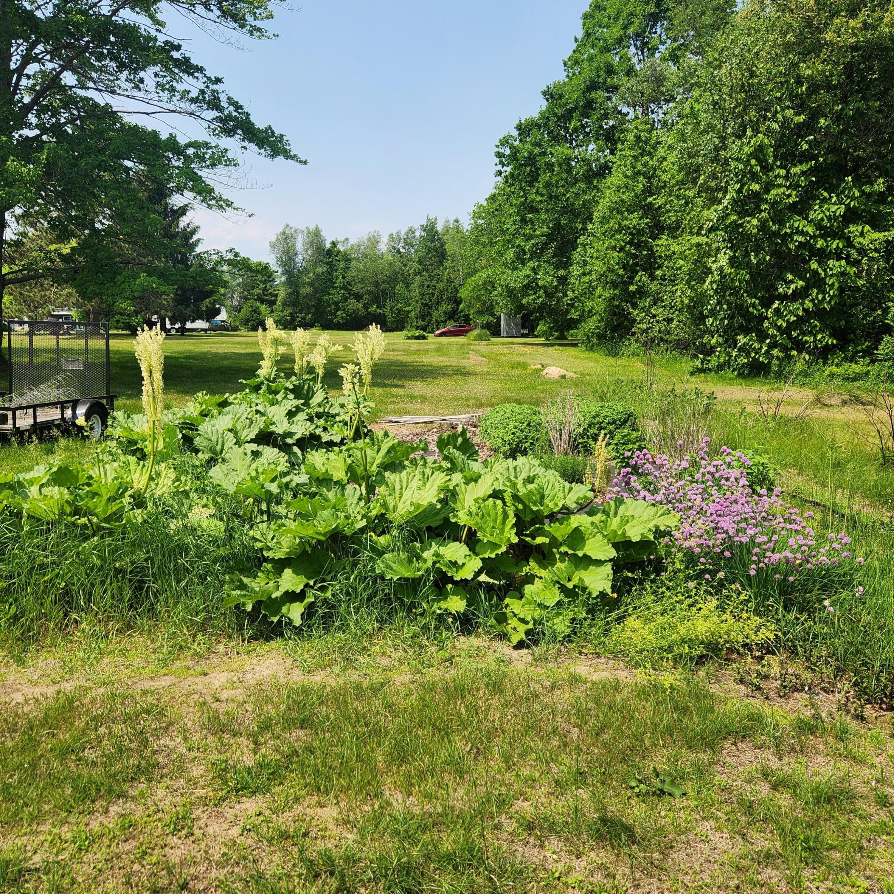 485 Main Road Passadumkeag, ME 04475 - Photo 27 of 41 20250612_135547 (1)