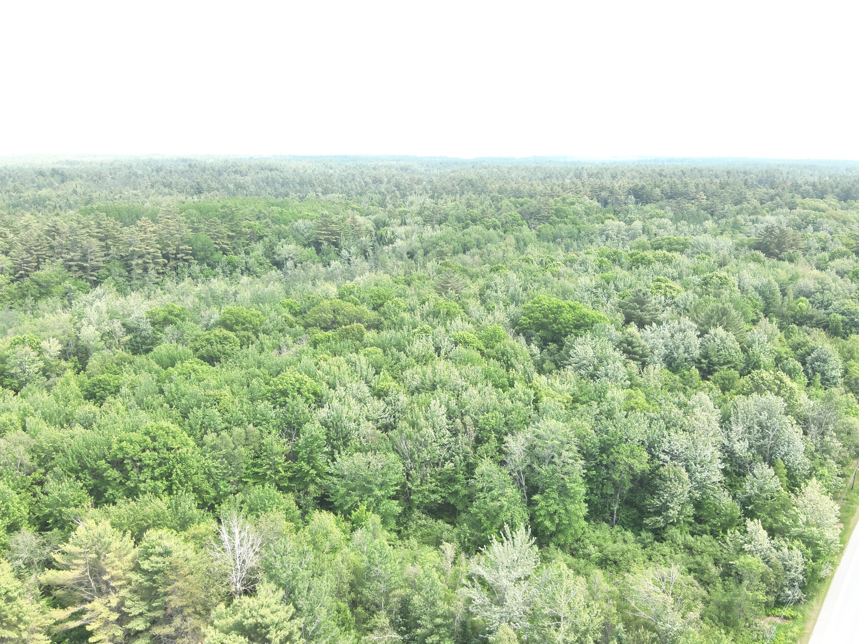 485 Main Road Passadumkeag, ME 04475 - Photo 33 of 41 DJI_20250612141601_0006_V