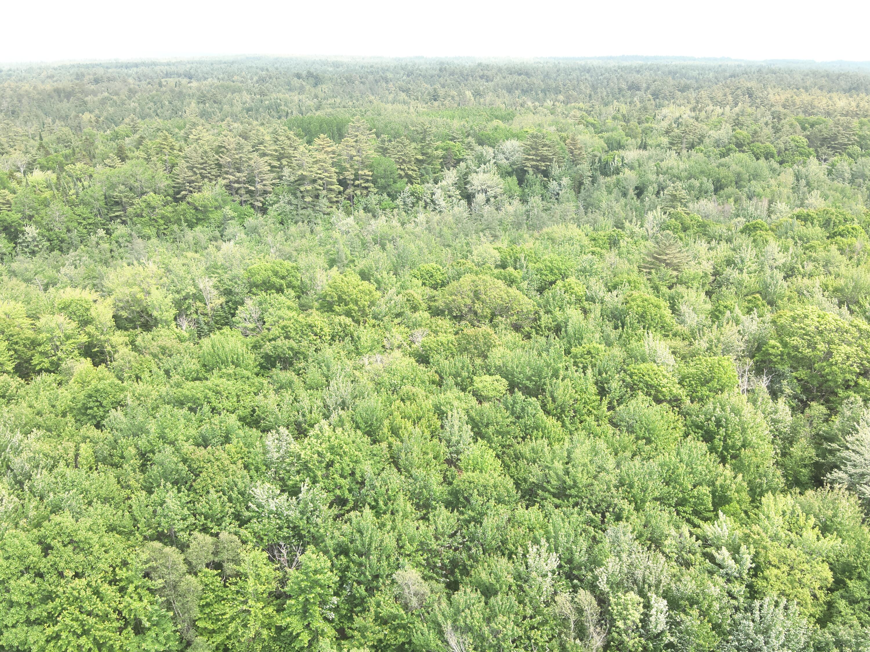 485 Main Road Passadumkeag, ME 04475 - Photo 35 of 41 DJI_20250612141639_0008_V