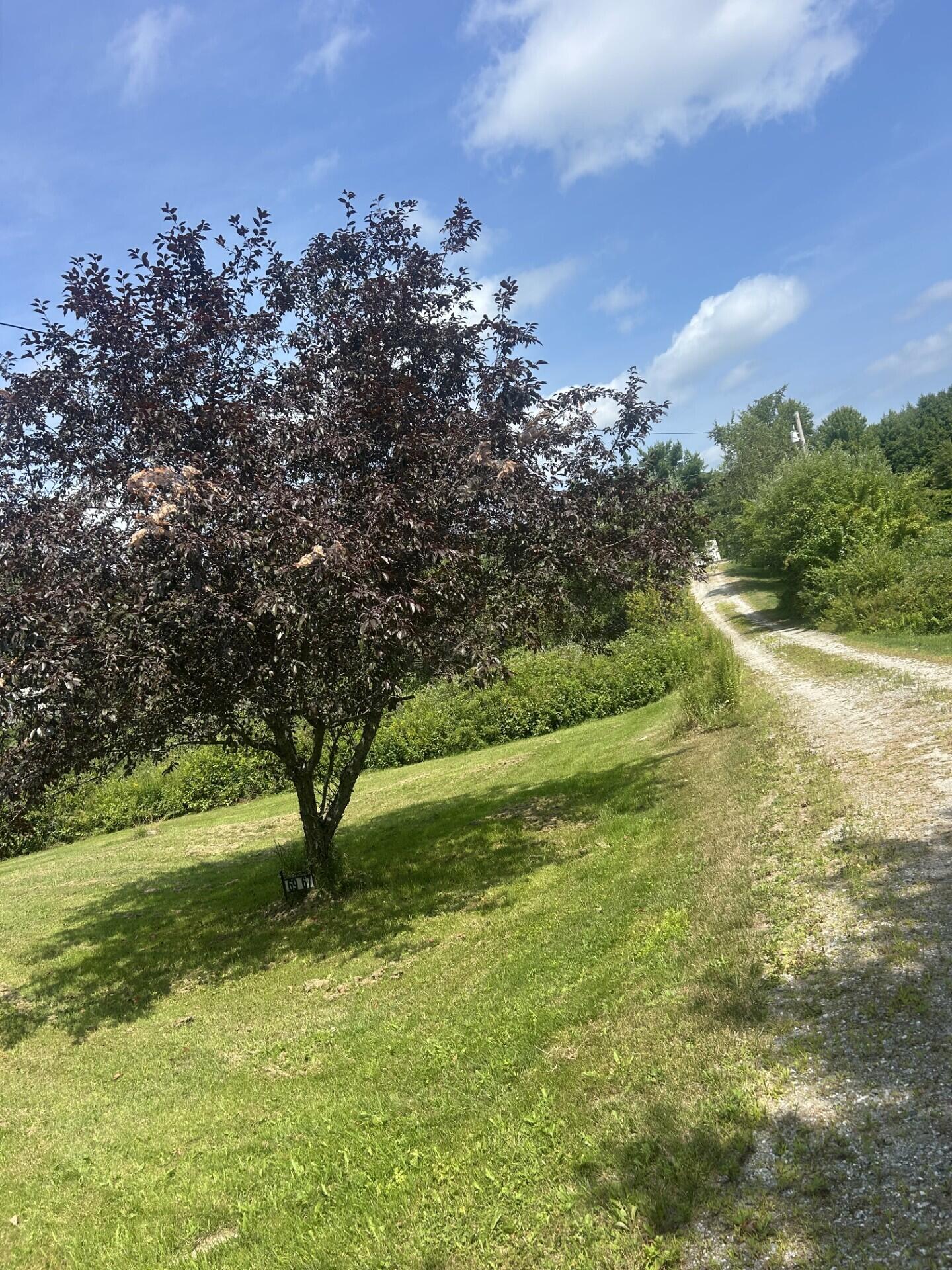 67 Pike Road Livermore, ME 04253 - Photo 4 of 36 0422 driveway up to the house