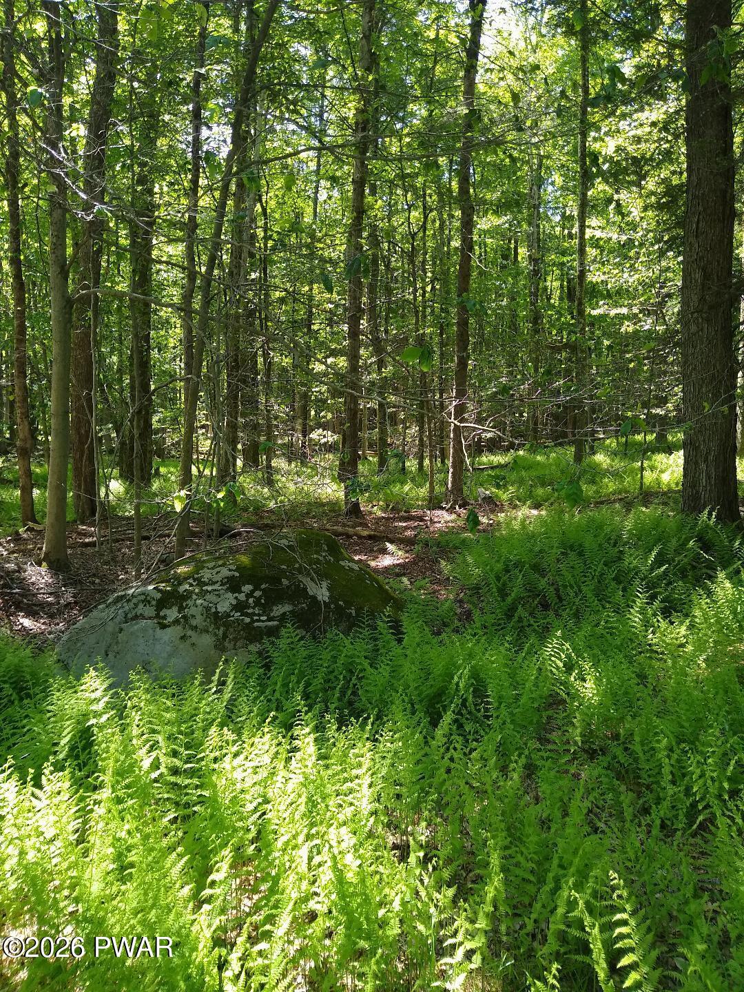 Creek Road Hawley, PA 18428 - Photo 2 of 13