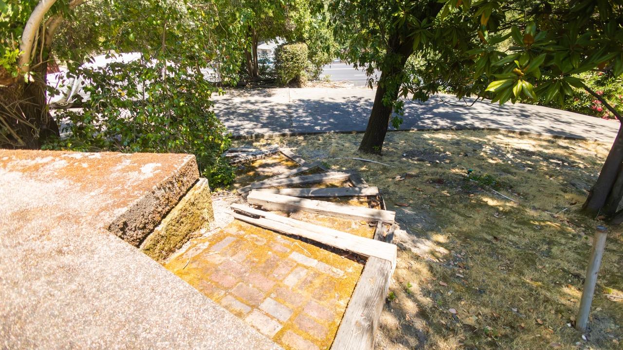 108 Stein Way Orinda, CA 94563 - Photo 19 of 40 a view of a yard with plants and trees