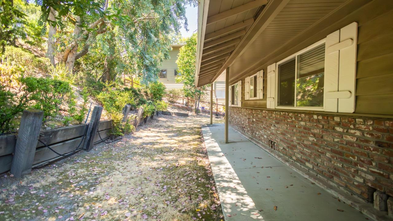 108 Stein Way Orinda, CA 94563 - Photo 36 of 40 a view of a backyard with large trees and plants