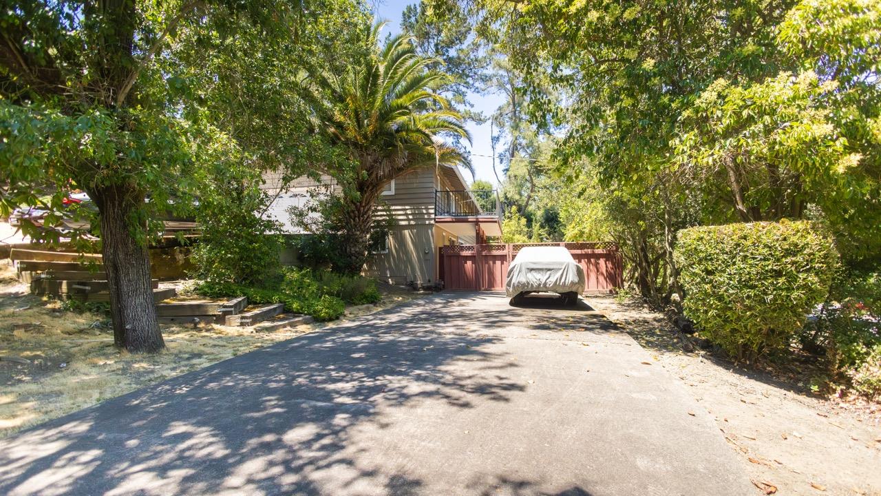 108 Stein Way Orinda, CA 94563 - Photo 4 of 40 a white house covered with tall trees
