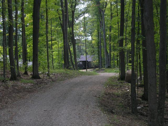7823 Alva Lake Road Lake Tomahawk, WI 54539 - Photo 16 of 20 Gallery Image 16