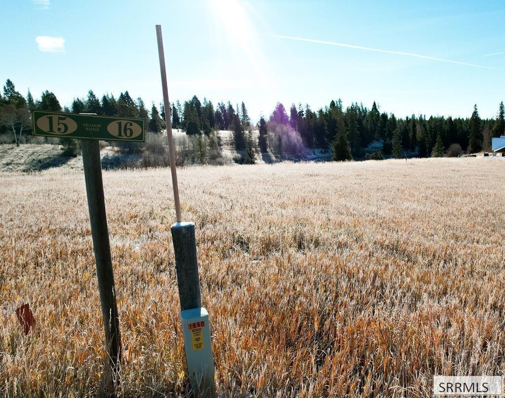 1656 Shadow Loop South Ashton, ID 83420 - Photo 12 of 30