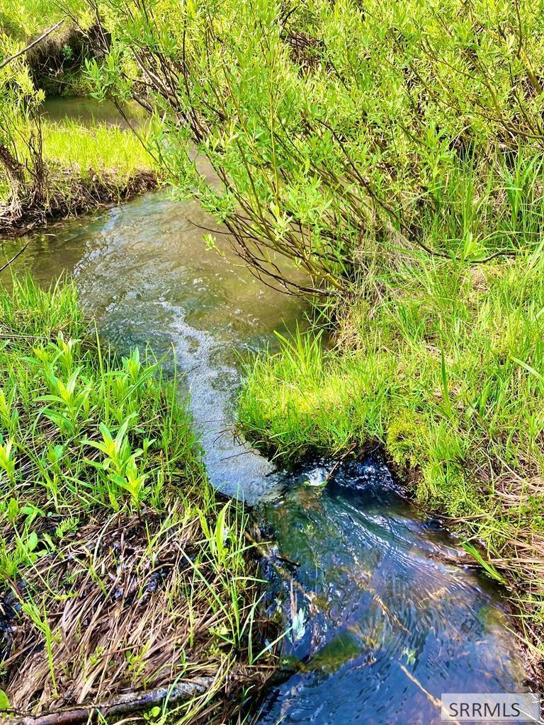 1656 Shadow Loop South Ashton, ID 83420 - Photo 2 of 30