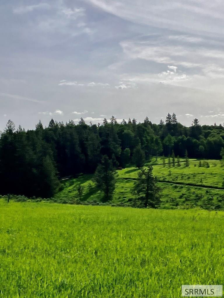 1656 Shadow Loop South Ashton, ID 83420 - Photo 21 of 30