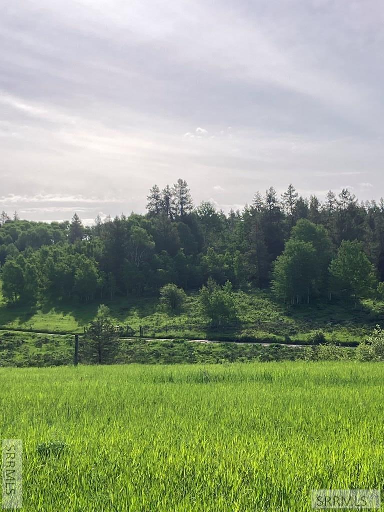 1656 Shadow Loop South Ashton, ID 83420 - Photo 22 of 30