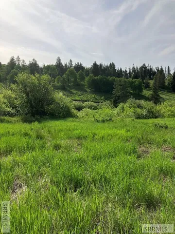 $254,000 | 1656 Shadow Loop South, Ashton, ID 83420