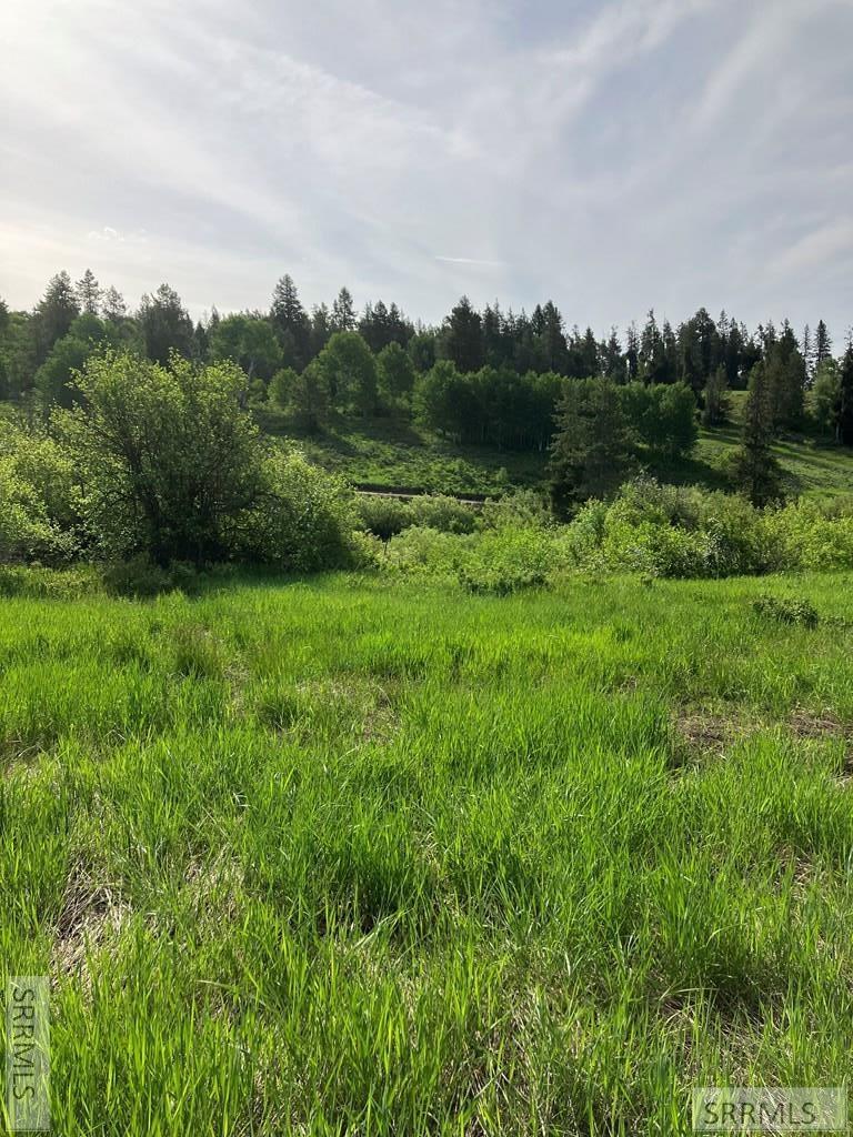 1656 Shadow Loop South Ashton, ID 83420 - Photo 24 of 30