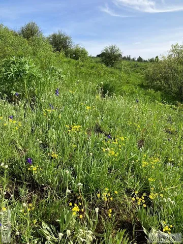 $254,000 | 1656 Shadow Loop South, Ashton, ID 83420