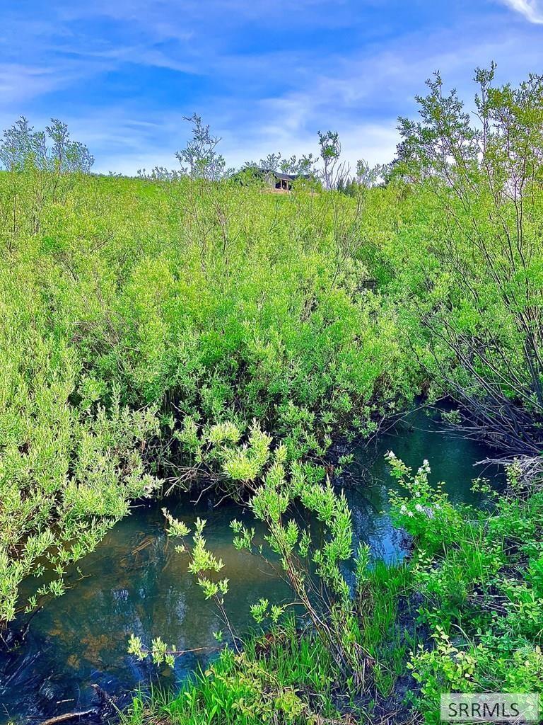 1656 Shadow Loop South Ashton, ID 83420 - Photo 28 of 30