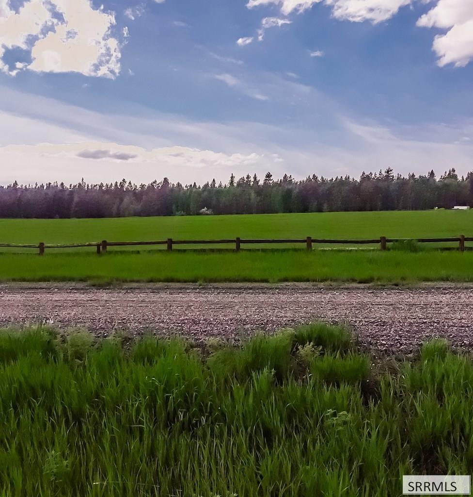 1656 Shadow Loop South Ashton, ID 83420 - Photo 6 of 30