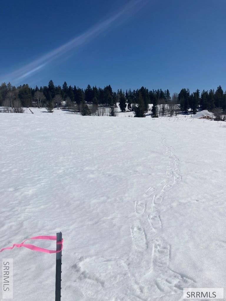 1656 Shadow Loop South Ashton, ID 83420 - Photo 7 of 30