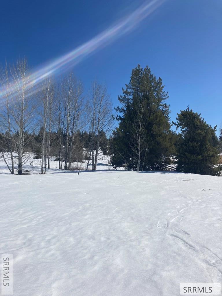 1656 Shadow Loop South Ashton, ID 83420 - Photo 8 of 30